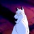 Aniu_fan