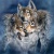 balto19