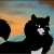 Balto676