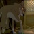Balto_Husky