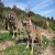 baltoandalue12