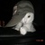 baltowolf12