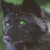 Black-Wolf-Soul