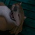 Celtic Aleu