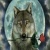 darkwolf_1214