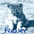 Dingo Roxy