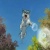 Dog_wolf