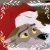 Frozen Wolf