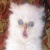 HaloKitty