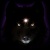 jazzanovawolf
