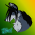 Jeod The Wolf