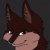 Josh the Coyote