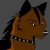 Josh the Coyote