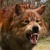 lighteningwolf