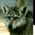 Linkthewolf26