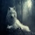 LoneWolf1996