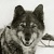 Mightybalto1925