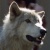 Mightybalto1925