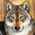 Night_wolf.