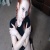 Purrversion