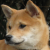 Rrogza-The-Mutt