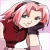 sakura-haruno.5