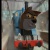Samthewolf