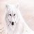 SheWolf