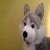 SkyWolf04
