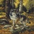Spirit of the Wild