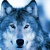 Sky Wolf