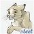 steet
