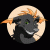 sybervixen