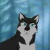 Tala The Wolf