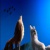 Werewolf_K.