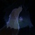 wolf quest.