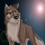 Wolfdog-outcast