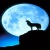 wolfess017