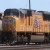 WolfTrain3751