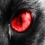 xREDEYEWOL.