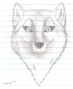 wolf