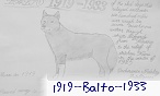 1919_Balto_1933