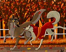 Jenna and Balto an Autumn Run