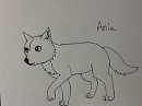 Aniu