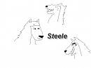 Steele dans sa splendeur !