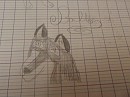 Mon dessin de Balto, au crayon !