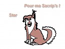 Star pour ma Sacrip's !