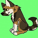 MAlik