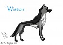 Wiston !