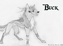 Buck